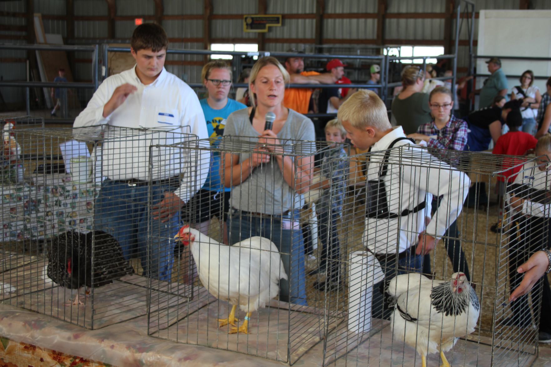 Poultry in the spotlight